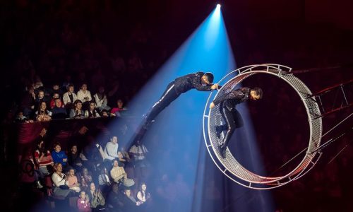 «Трогательная акция»: в Перми стартовал третий этап программы «Цирк на ощупь»