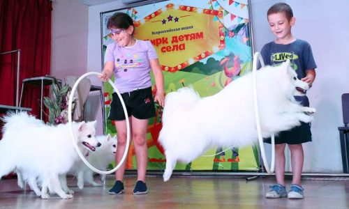 Принцесса, попугай и пенная дискотека: программа «Цирк – детям села» стартовала в Ставропольском крае