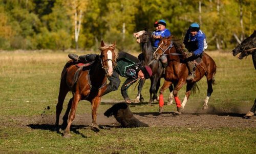 Фестиваль традиционных игр прошел в Республике Алтай