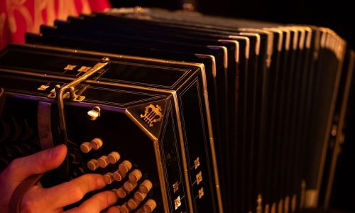 Ансамбль «Станица» выступил в Русском доме в Нью-Дели