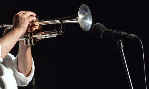 В «Москино» пройдет концерт джазовых исполнителей