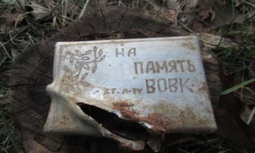 Поисковики из Кирова нашли уникальный артефакт времен ВОВ