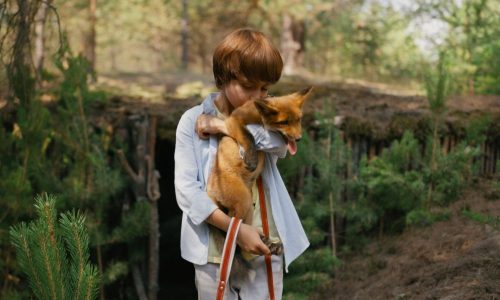 Российский фильм «Мой дикий друг» взял два приза кинофестиваля ICFF