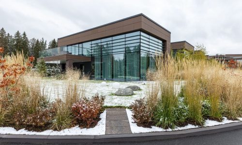 Санкт-Петербургская ярмарка искусства 1703 проведет зимний маркет