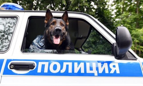 Правоохранители провели обыски в офисе музыкального издательства «Джем»
