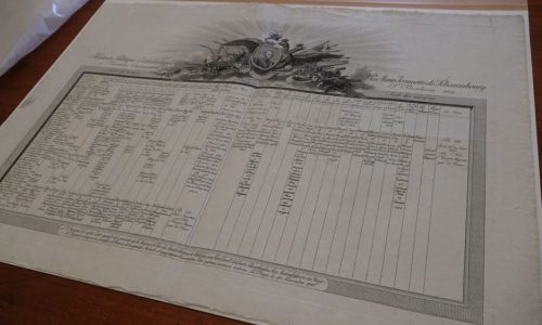 В музее-заповеднике «Павловск» отреставрируют редкий исторический документ