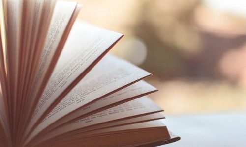 Ряд книжных сетей снял с продажи книгу Тилар Маццео «Дети Ирены»