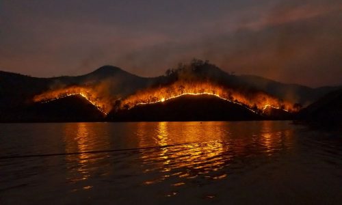 Американские знаменитости потеряли дома из-за пожара в Калифорнии